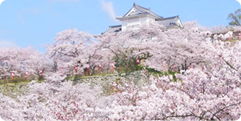 津山鶴山公園